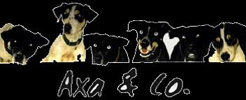 Axa.jpg