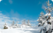 sc_background_image.jpg