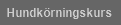 Hundkörningskurs
