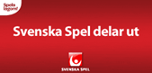 svea_250x120.gif