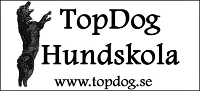 topdog.jpg